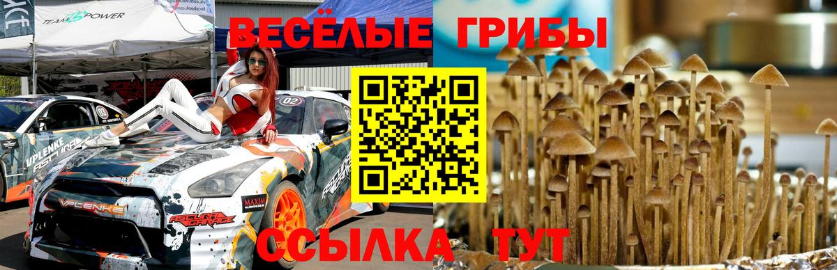 Псилоцибиновые грибы GOLDEN TEACHER  Вход с VPN  Можайск 